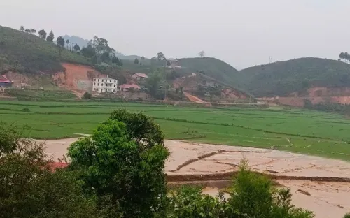 Lũ lên nhanh sau mưa lớn ở Sơn La, 3 hecta lúa ngập trong nước, bùn đất