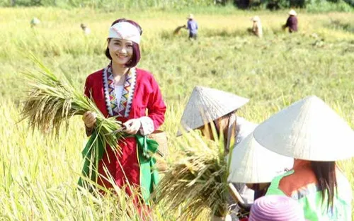 Thanh Hóa: Hồi sinh một triền đồi và giấc mơ bền vững của cô gái Thổ