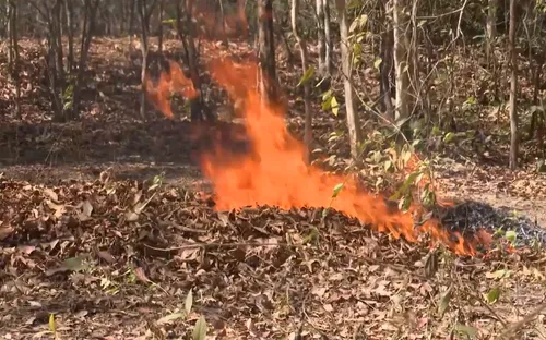 Tăng cường phòng chống cháy rừng cao điểm mùa khô