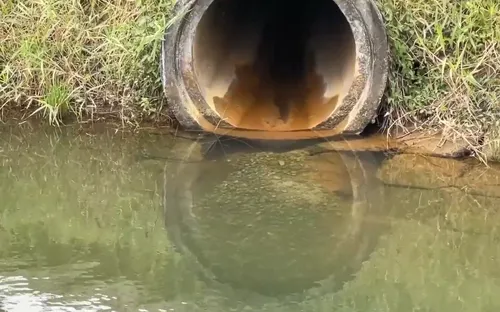 Quảng Ngãi: Doanh nghiệp đấu nối ống xả thải trái phép