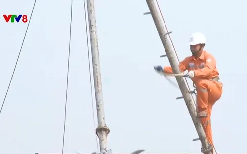 Điện lực miền Trung diễn tập phòng chống thiên tai và tìm kiếm cứu nạn