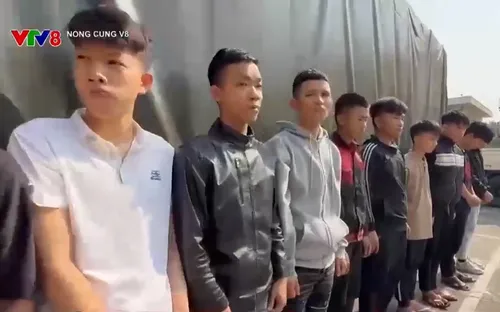 Quyết liệt đấu tranh trấn áp tội phạm đường phố