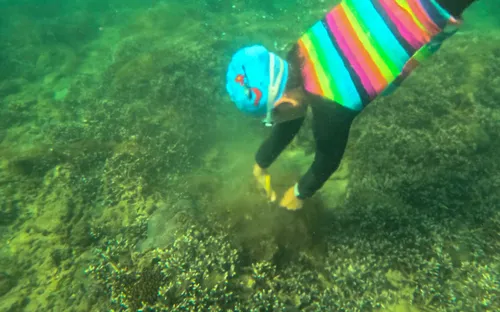 Nha Trang: Thu gom 100kg ngư cụ "Giải cứu" san hô Hòn Chồng