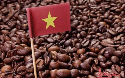Cà phê Việt khẳng định thương hiệu với thế giới