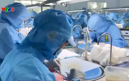 Cơ hội xuất khẩu yến chính ngạch sang Trung Quốc