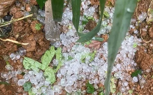 Sơn La: Liên tục xảy ra giông lốc, mưa đá