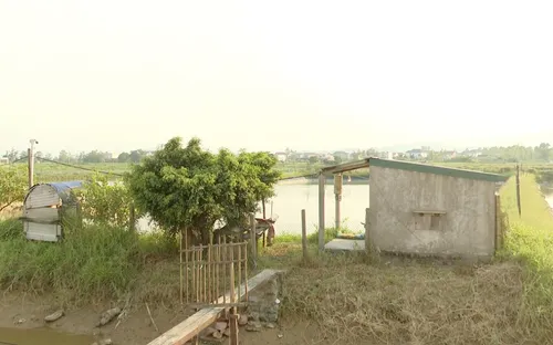 Dự án mở rộng cầu trên Quốc lộ 1A vướng giải phóng mặt bằng