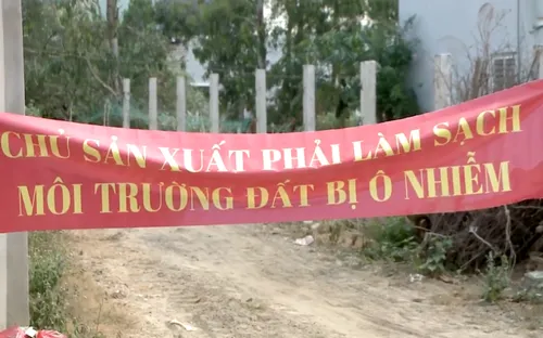 Bình Định đề nghị chấm dứt hoạt động xưởng chế biến mực tẩm gây ô nhiễm