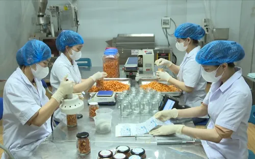 Sở hữu trí tuệ - Chìa khóa bảo vệ sáng tạo của doanh nghiệp