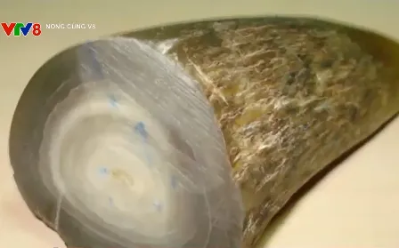 Chìm nổi thị trường tiêu thụ sừng tê giác