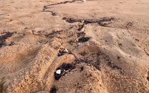 Dầu vón cục xuất hiện ở biển Tuy Hòa, Phú Yên