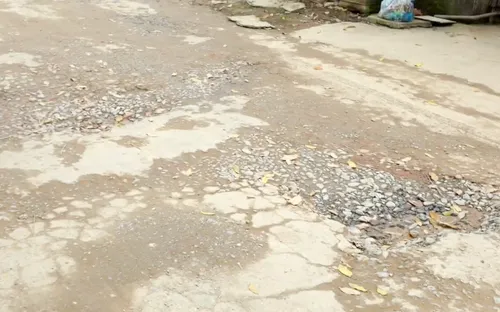 Nghệ An: Nhiều tuyến đường xuống cấp nghiêm trọng