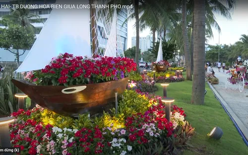 Đường hoa biển giữa lòng thành phố Đà Nẵng