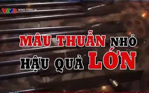 Mâu thuẫn nhỏ - Hậu quả lớn