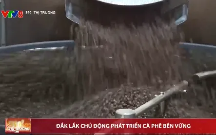 Đắk Lắk chủ động phát triển cà phê bền vững