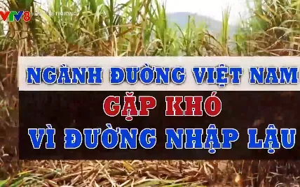 Ngành đường Việt Nam gặp khó vì đường nhập lậu