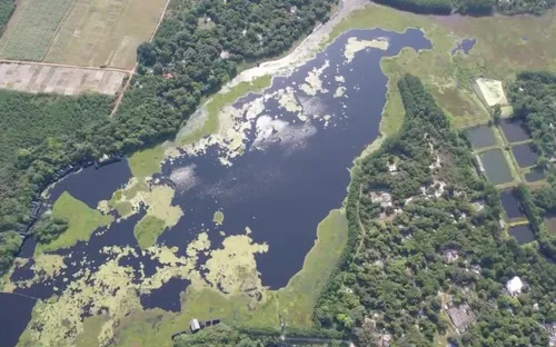 Gìn giữ rừng nguyên sinh giữa miền cát trắng