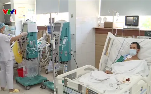 Nhiều người nguy kịch vì sơ cứu sai khi bị rắn cắn