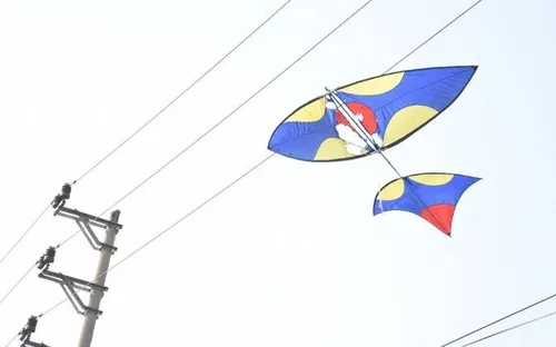 3 học sinh thương vong do điện giật khi đi thả diều