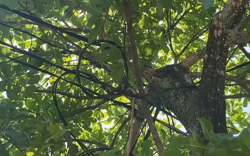 Cảnh báo mất an toàn điện tại khu dân cư ở Quảng Ngãi