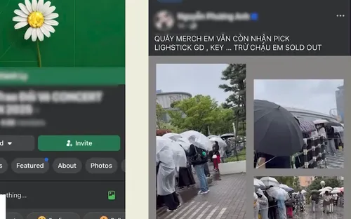 “Săn” vé concert G-Dragon: Đừng để niềm vui âm nhạc trở thành cú lừa bạc triệu