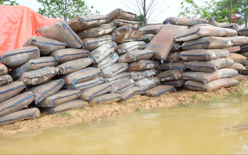 Làm rõ trách nhiệm vụ hơn 200 tấn xi măng xây dựng nông thôn mới bị hư hỏng