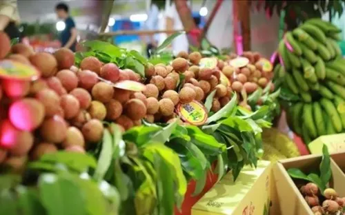 Gỡ điểm nghẽn, tìm hướng đi mới cho xuất khẩu rau quả