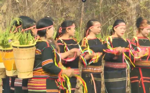 Độc đáo lễ cúng cầu mưa của người Jrai