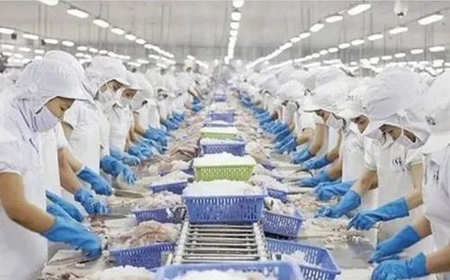 Thủy sản Việt Nam tìm cách thoát “bẫy phụ thuộc”