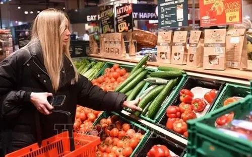 EC hạ dự báo tăng trưởng của nền kinh tế lớn thứ ba Eurozone