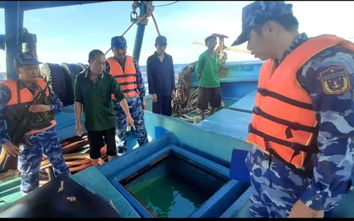 Bắt giữ tàu cá vận chuyển 60.000 lít DO lậu trên biển