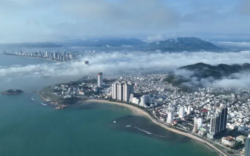 Khánh Hòa: Rạn san hô Hòn Chồng đang phục hồi