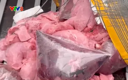 Quảng Trị bắt giữ vụ vận chuyển 600 kg nội tạng động vật trái phép