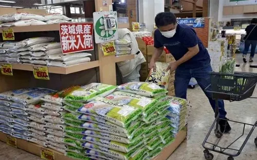Nhật Bản gặp khó khăn trong việc giảm giá gạo
