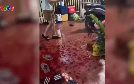 Đắk Lắk: Bất an khi liên tục bị tạt chất bẩn vào nhà