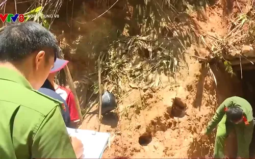 Triệt phá bãi khai thác vàng trái phép ở Gia Lai