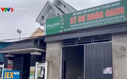 Hàng chục hecta lúa vụ chiêm xuân "mất trắng" ở Thanh Hóa