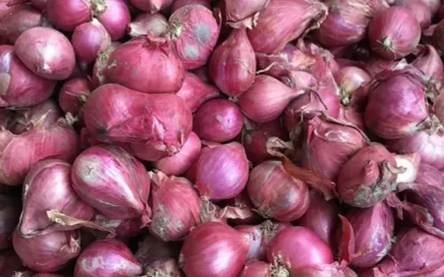 Hành tím Ninh Thuận chinh phục thị trường thế giới