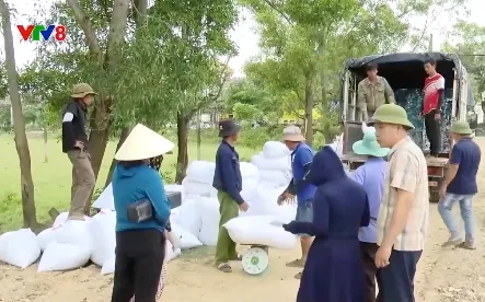 Quảng Bình thắng lợi kép vụ Đông - Xuân 2025