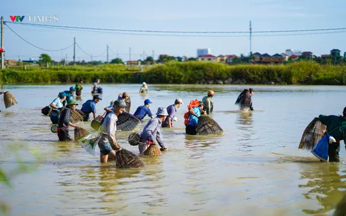 Hàng trăm người dân Quảng Bình lội bùn bắt cá dịp Tết Đoan Ngọ