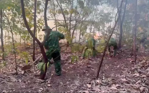 Bộ đội Biên phòng TP Huế huy động lực lượng phối hợp chữa cháy rừng