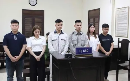 Gây rối trật tự công cộng và trốn thuế, Hải Idol lĩnh án