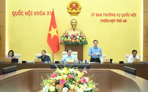 Tăng nhiều hơn thẩm quyền của Chủ tịch Ủy ban nhân dân sau sắp xếp