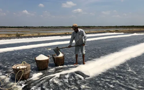 Hạt muối trắng Cần Giờ đứng trước cơ hội vàng vào chuỗi OCOP, siêu thị