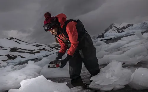 Tại sao các nhà khoa học lại “cắm chốt” tại Nam Cực?