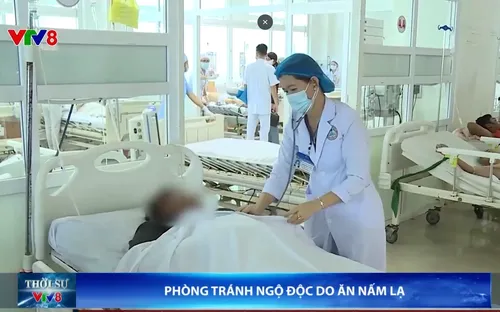 Phòng tránh ngộ độc do ăn nấm lạ