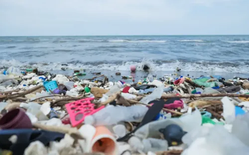 Ngày Môi trường Thế giới 2025: Cảnh báo nguy cơ ô nhiễm nhựa toàn cầu