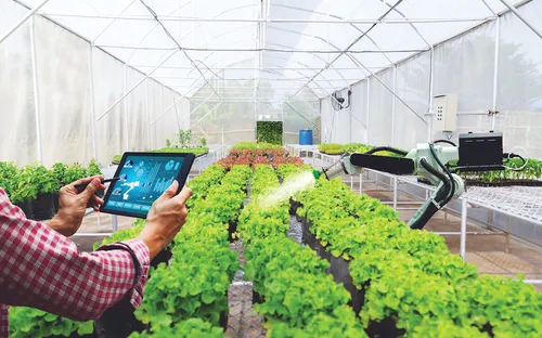 Bứt phá nền kinh tế số: Big Data “cầm lái” nông nghiệp thông minh Việt Nam năm 2025