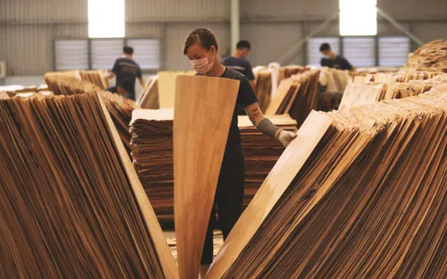 Xuất khẩu gỗ Việt vươn xa tại Tây Ban Nha: Tín hiệu từ một thị trường hồi sinh