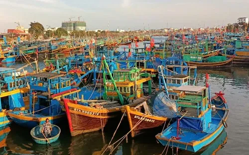 Bình Định kêu gọi 40 tàu cá trong vùng nguy hiểm của áp thấp nhiệt đới tìm nơi tránh trú an toàn